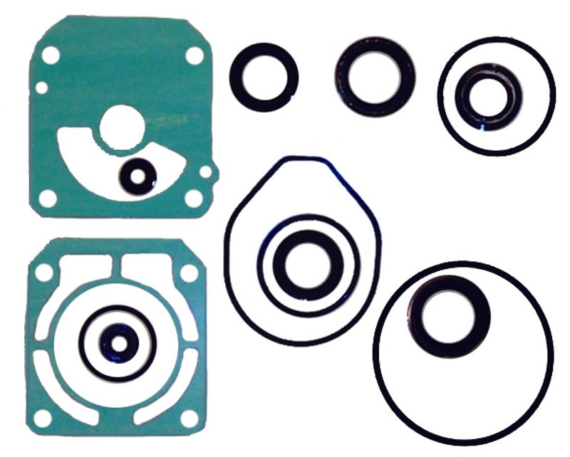 Lower Unit Seal Kit